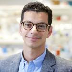 Ahmad Khalil, PhD, Associate Professor, Department of Biomedical Engineering, Boston University Ahmad Khalil, PhD, Associate Professor, Department of Biomedical Engineering, Boston University