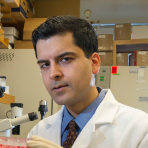 Samie Jaffrey , Professor , Department of Pharmacology, Weill Medical College, Cornell University  