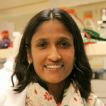 Shyni Varghese , Associate Professor, Bioengineering, UC San Diego 